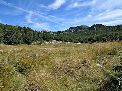 Flach führt der Weg nun weiter nach Nordosten