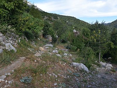 Hier halten wir uns links und statten....