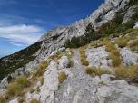 Deutlich sind die einzelnen Schichten im Felsen zu erkennen
