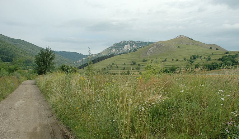 Varful Ugerului (1285 m)