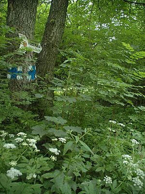 Der letzte Wegweiser