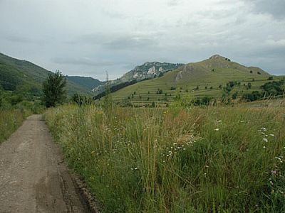 Auf der breiten Straße