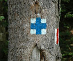 Immer dem Kreuz nach
