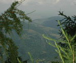 Posaga