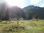 ...und wandern in sanfter Steigung über eine Wiese