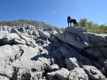 ... aber auch an den Felsen ist der Berg gut ausgeschildert.