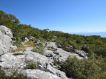 Büsche und Felsen dominieren hier das Landschaftsbild