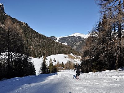 zieht sich die Schneise...
