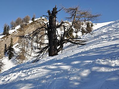 Nach einem steilen Stück...