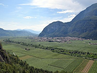 Freundlicher sieht es im Etschtal aus