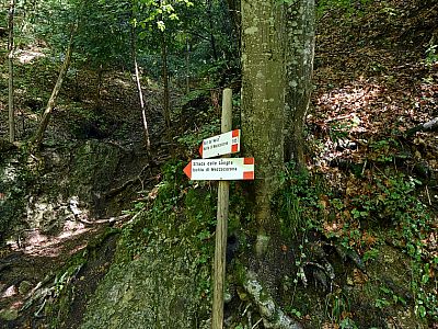 Links geht es direkt zur Straße, gerade aus treffen wir ein wenig höher auf die Straße nach Monte di Mezzocorona