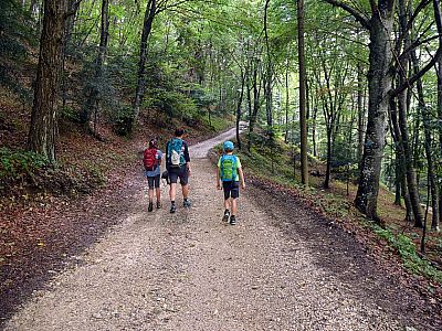 Wir treffen den Rest der Familie am Abzweig des Waldweges