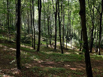 Hier trifft der direkte Weg vom Klettersteig auf die Fahrstraße 