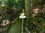 Links geht es direkt zur Straße, gerade aus treffen wir ein wenig höher auf die Straße nach Monte di Mezzocorona