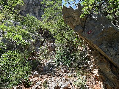 ... allerdings ist von nun an Trittsicherheit gefragt