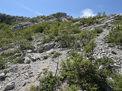 Allmählich wird das Gelände flacher und...