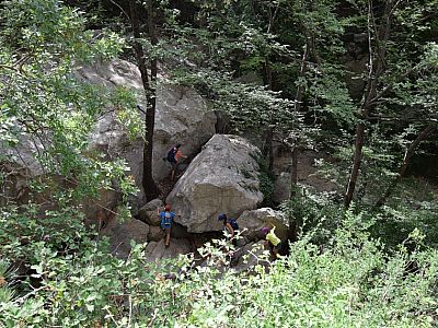 ... während sich der Nachwuchs einen eigenen Weg durch die Landschaft bahnt 