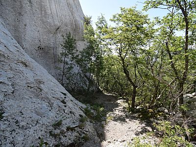 Wir halten uns links und gelangen auf die Westseite des Vidakov kuk