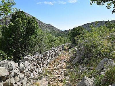 Eine Mauer kündigt ...