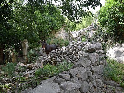 Abgesehen von einem Pferd treffen wir auf keinerlei Einwohner