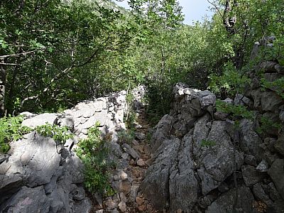Eindrucksvoll holt sich die Natur das Areal zurück