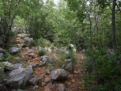 Hier biegen wir links ab ... 