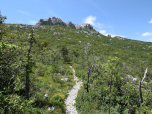 ... wir marschieren durch das stachlige Grün auf die Felsen zu