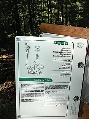 Tafeln des Lehrpfads