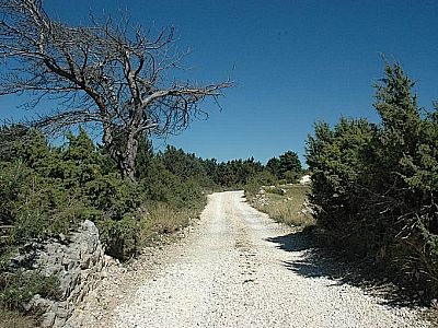 Die Kiesstraße...