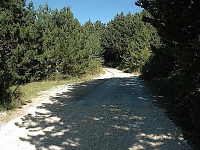 ...wird zur Teerstraße