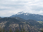 Der Guffert
