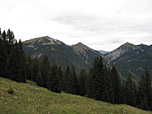 Ganz links zeigt sich der Schafreuter