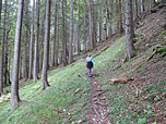 Und wieder durch Wald