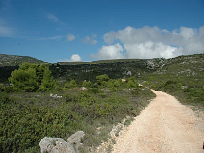 der Weg bleibt flach