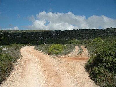 links, immer auf dem Hauptweg