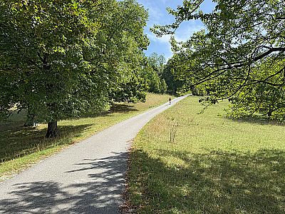 Wir folgen dem Teerweg weiter aufwärts...