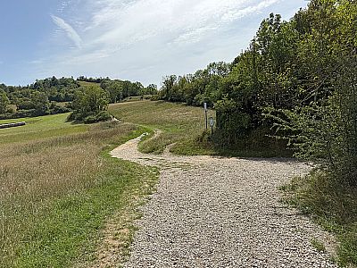 ...und wandern in die Einsattelung zwischen Walberla und Rodenstein hinab