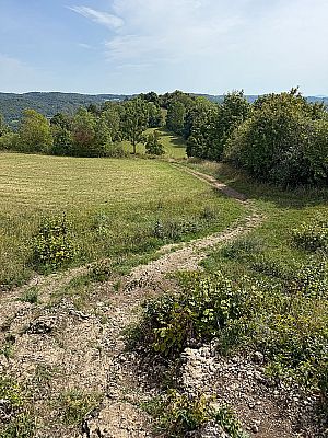 ...leitet uns ein kleiner Pfad bergab