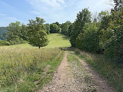 Am Wiesenrücken wird der Weg breiter