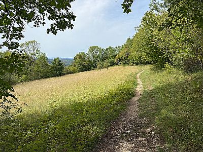 ...verlassen wir den Wald...