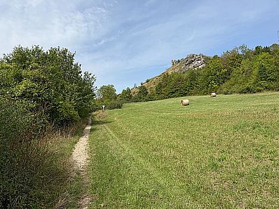 Vorschaubild 5