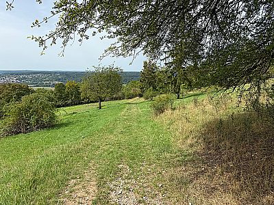 Der Wiesenweg...