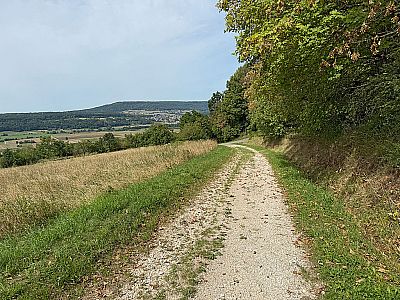 ...mündet in einen Karrenweg...