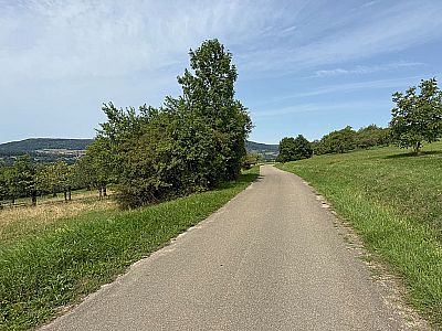 Auf der Teerstraße...