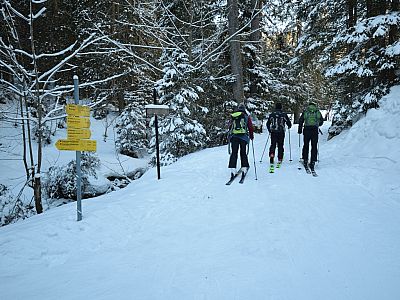 Auch hier orientieren wir uns an den Wegweisern zum Setzberg und Wallberg