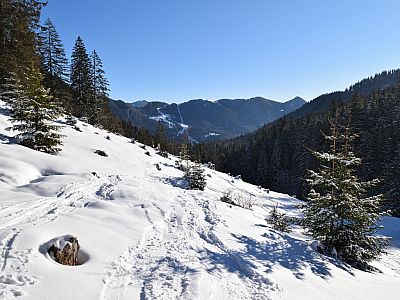 Der Blick nach Osten auf das Sutten-Gebiet