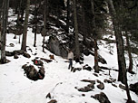 ...steigen wir steil durch den Bergwald empor