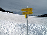 Am Wallbergsattel biegen wir links ab...