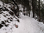 ...und entscheiden uns für den Winterweg über die Wallbergmoosalm