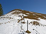 Entlang eines Weidezauns geht es zum Brennkopf-Gipfel hinauf